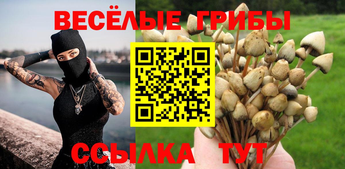 Алушта  наркота  Вход с VPN  Псилоцибиновые грибы Cubensis 